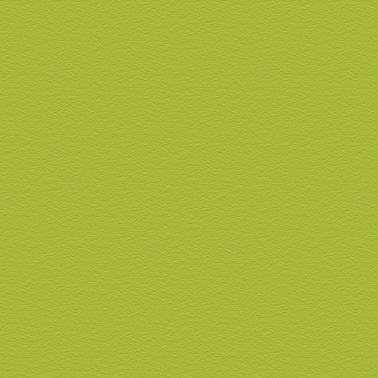 iPad Pro 11” (M4, 2024) LUXURIA Lime Green Textured Skin
